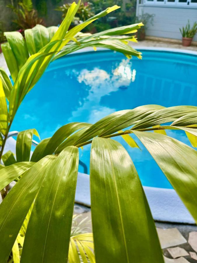 Tiaki Guesthouse - Cozy Modern Studio - 5Min Drive From The Beach And Punaauia Center Экстерьер фото